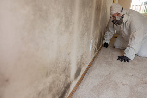 Best Forensic Mold Investigation  in Blue Ridge, TX